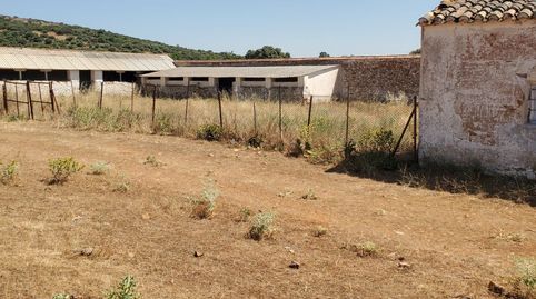 Finca Rúst. en venta en Ciudad Real., immagine 4