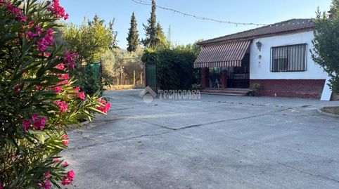 Foto 5 de Finca rústica en venda a Ds Valdecañas (p. Sierra), Puente Jontoya - Puente de la Sierra - El Arroyo, Jaén Capital