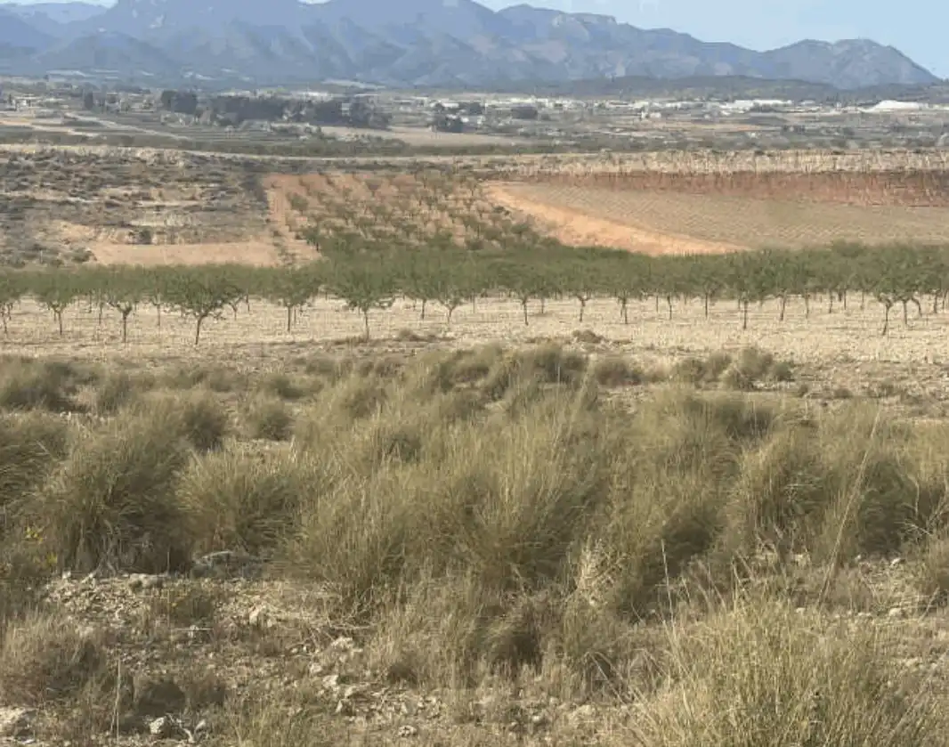Terreno rústico en venta en Caravaca de la Cruz
