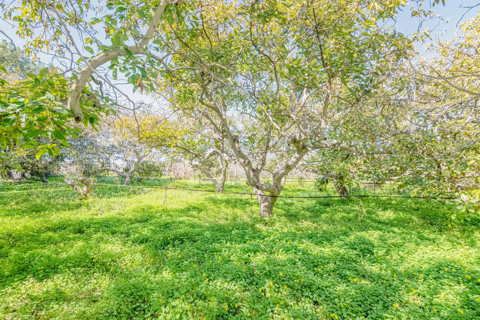 Casa o chalet en venta en Motril con Jardín privado, Terraza y Piscina