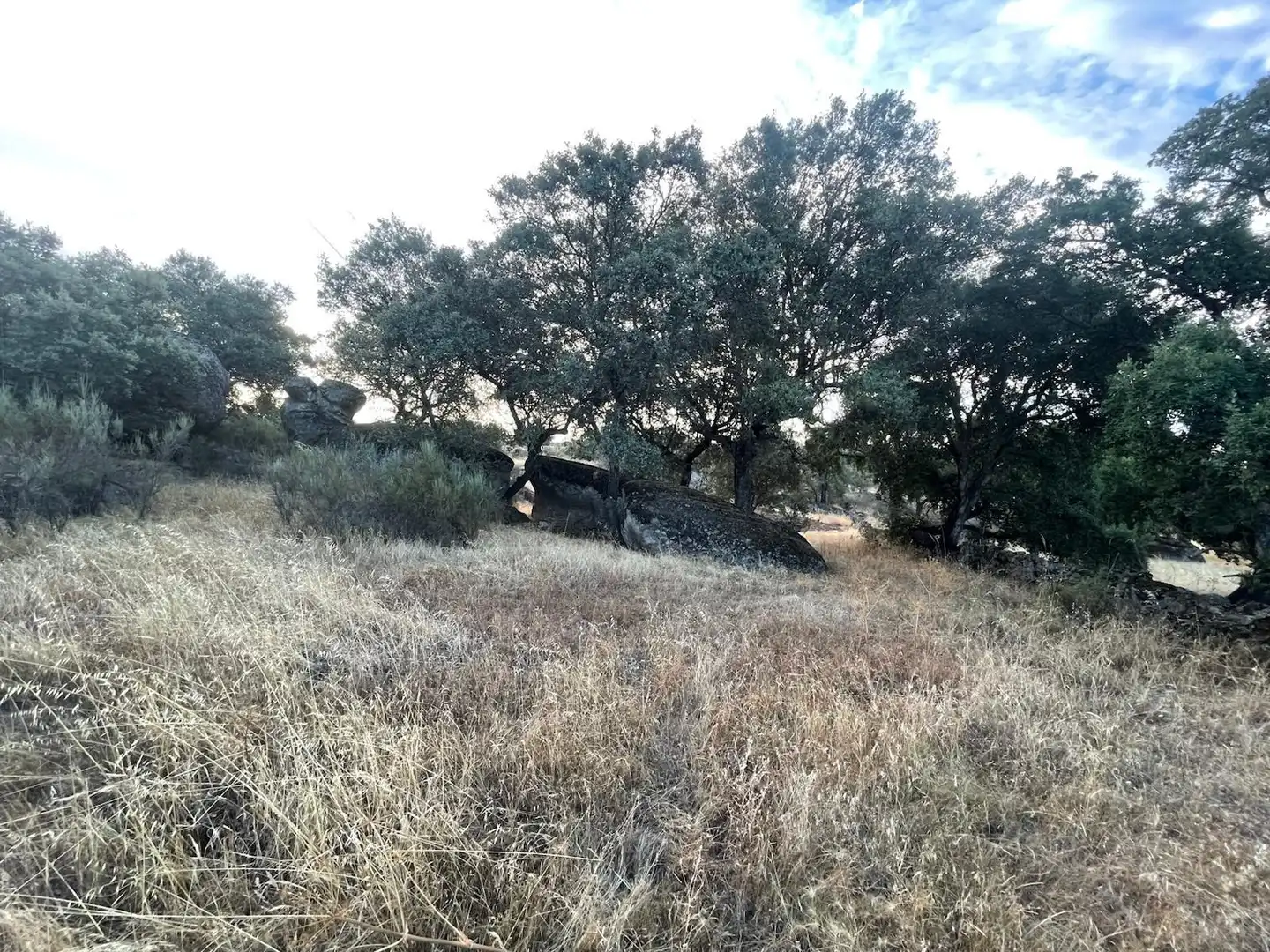 Terreni e lotti in vendita a Aldea del Cano, imagen 4