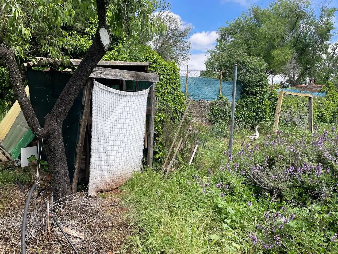 Finca rústica en venda en Carrión de Calatrava amb Calefacció, Terrassa i Traster