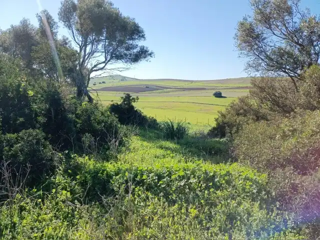 Terrain rustique à vendre à Vejer, imagen 4