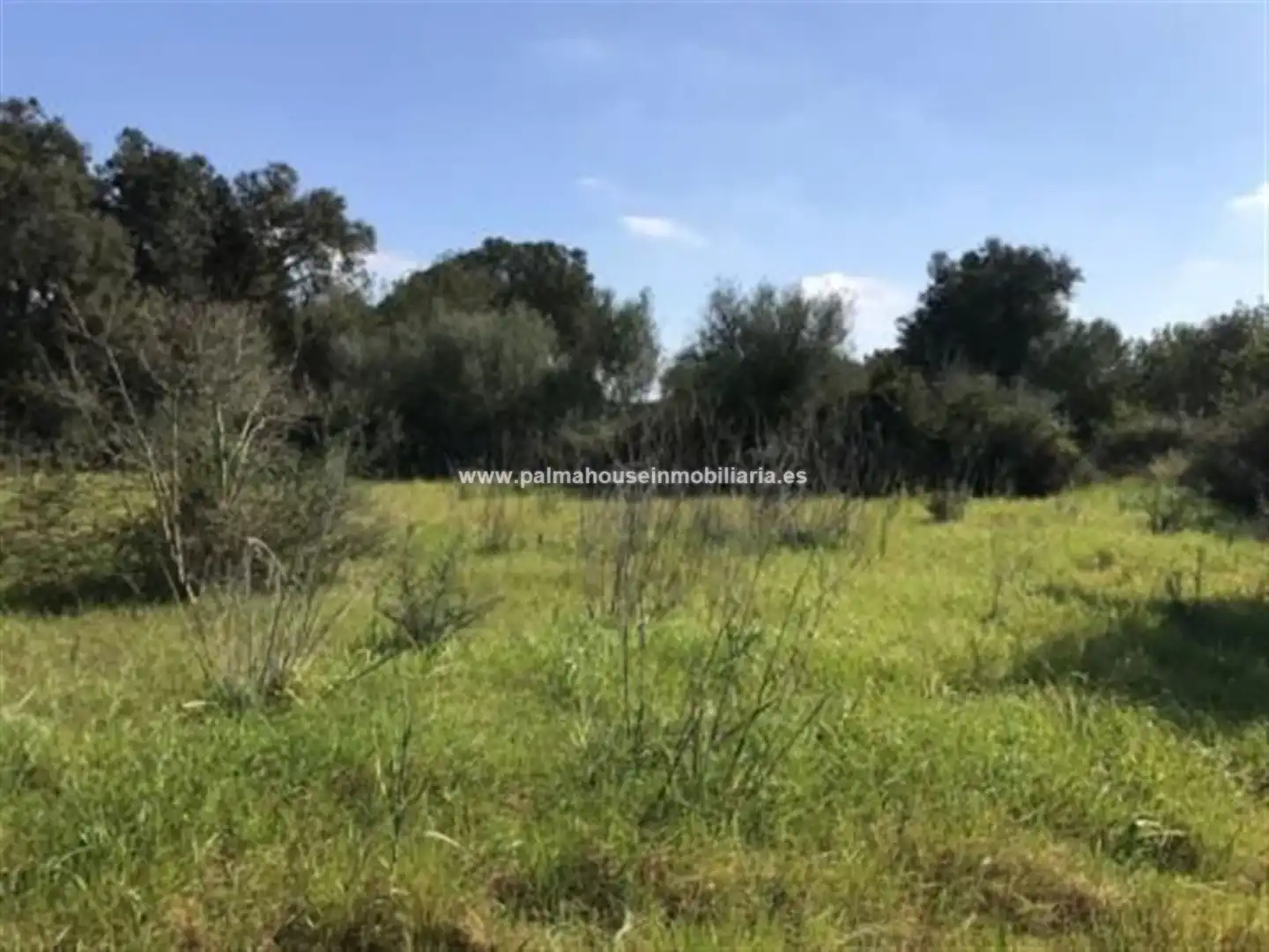 Wohnbaugrundstück zum Verkauf in Llubí, imagen 2