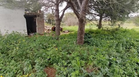 Foto 5 de Casa o chalet en venta en Pelagatos - Pago del Humo, Cádiz