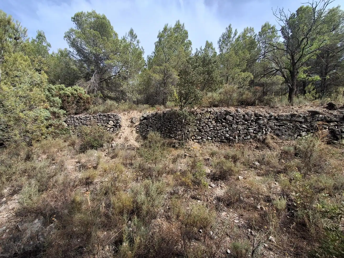 Rural land for sale in Gandesa, imagen 47