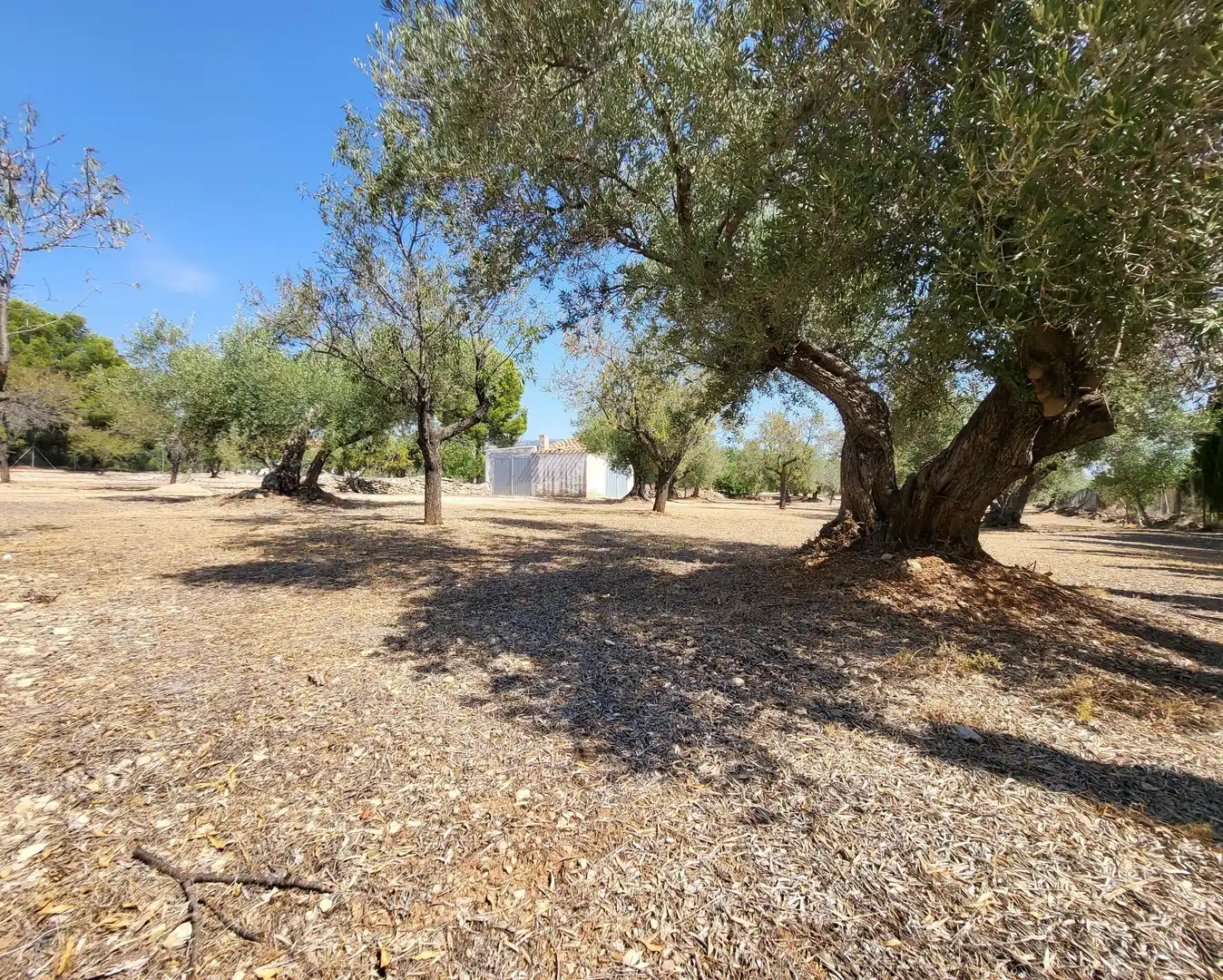 Landhaus mit Garten zum Verkauf in L'Ametlla de Mar pueblo, imagen 33