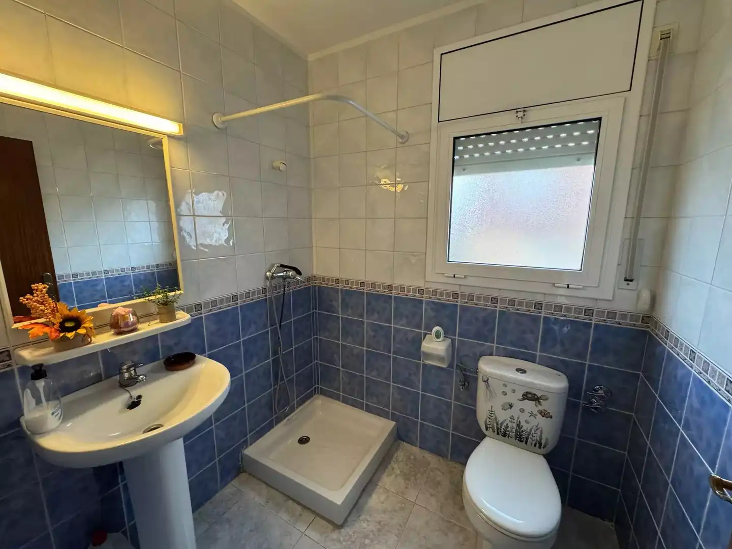 Bany de Casa o xalet de lloguer en Empuriabrava amb Aire condicionat, Calefacció i Moblat
