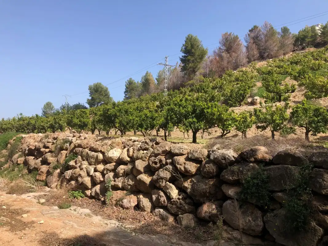 Terrain rustique à vendre à Plaça Poligono 11 15, imagen 33