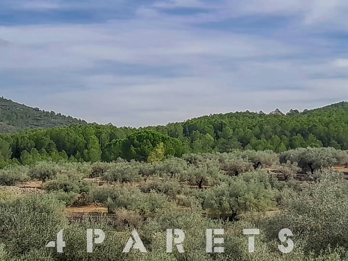 Rural land for sale in Cervera del Maestre, imagen 9