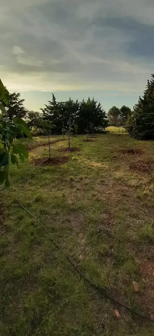 Finca rústica en venda en Barásoain amb Jardí privat i Piscina