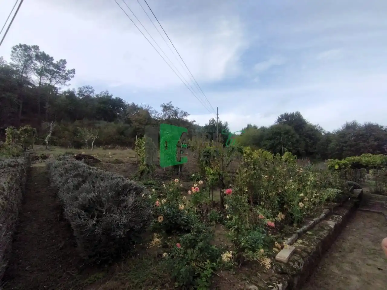 Casa o chalet en venta en Punxín con Jardín privado, Amueblado y Balcón