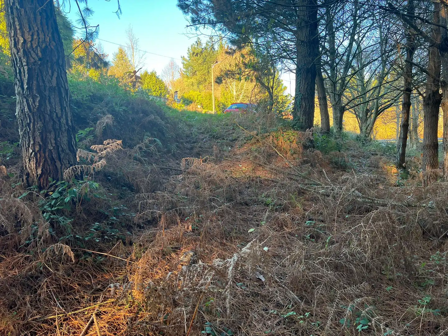 Terrenys i solars en venda a Sedes - Pedroso - Doso, imagen 10