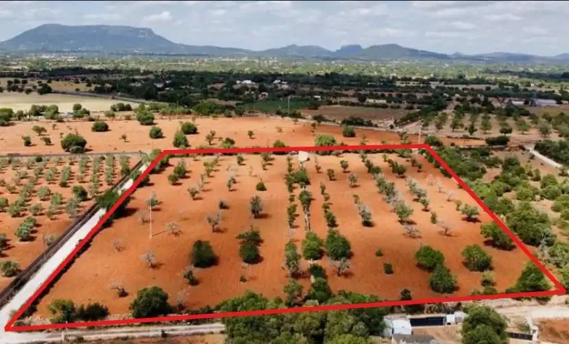 Terreno rustico in vendita a Llucmajor pueblo, imagen 7