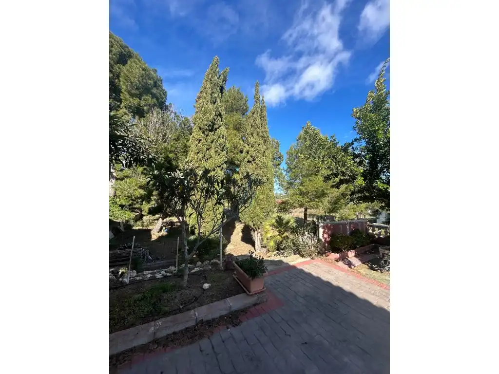 Jardín de Casa o chalet en venta en Llíria
