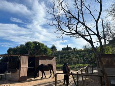 Casa con jardín en venta en Xirles
