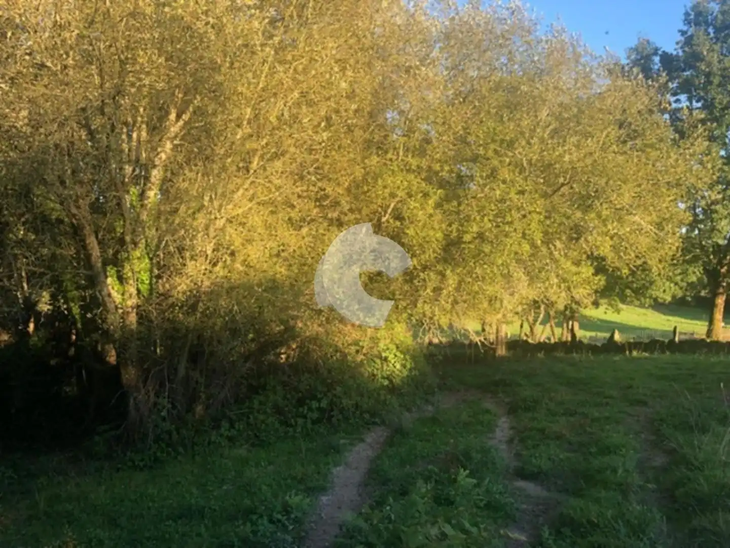 Terreni e lotti in vendita a Nogueira de Ramuín, imagen 38