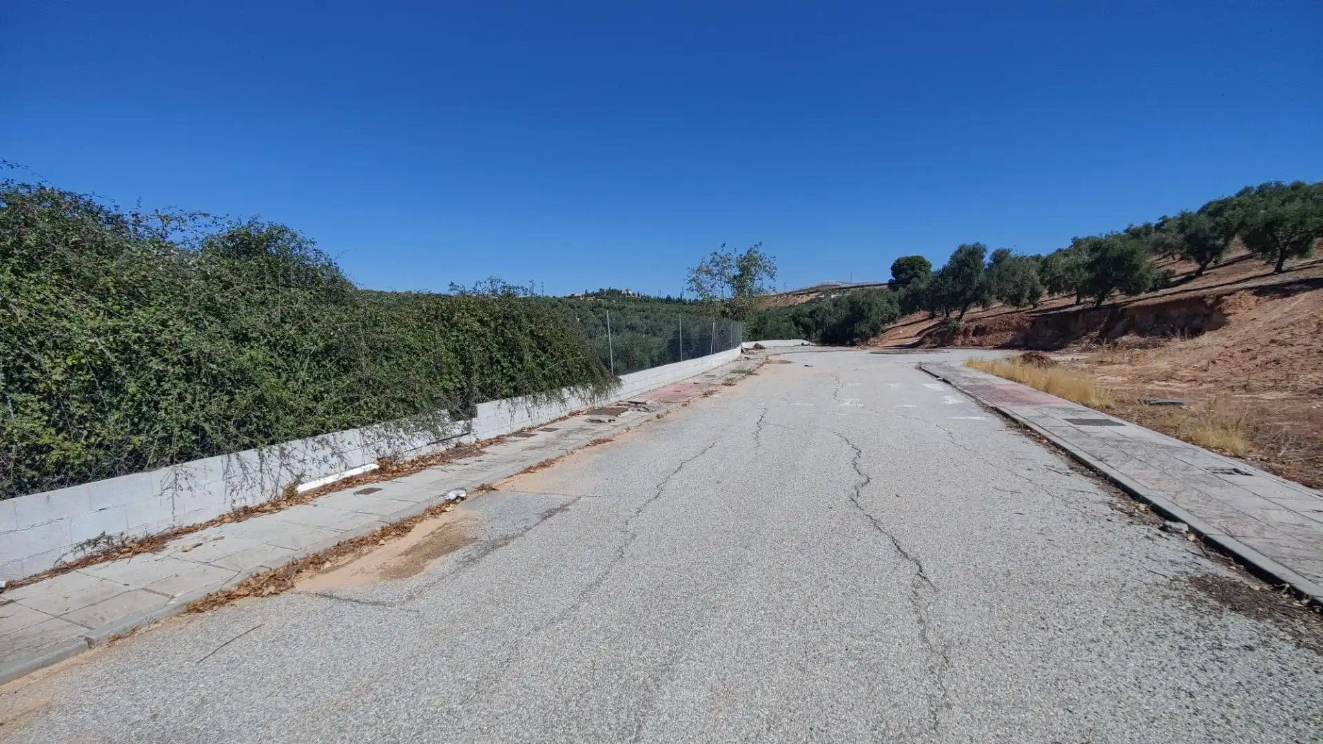 Terrenos y solares en venta en Centro de Albolote, imagen 8