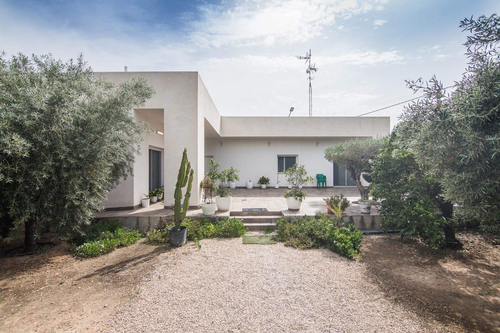 Exterior view of House or chalet for sale in San Vicente del Raspeig / Sant Vicent del Raspeig  with Terrace