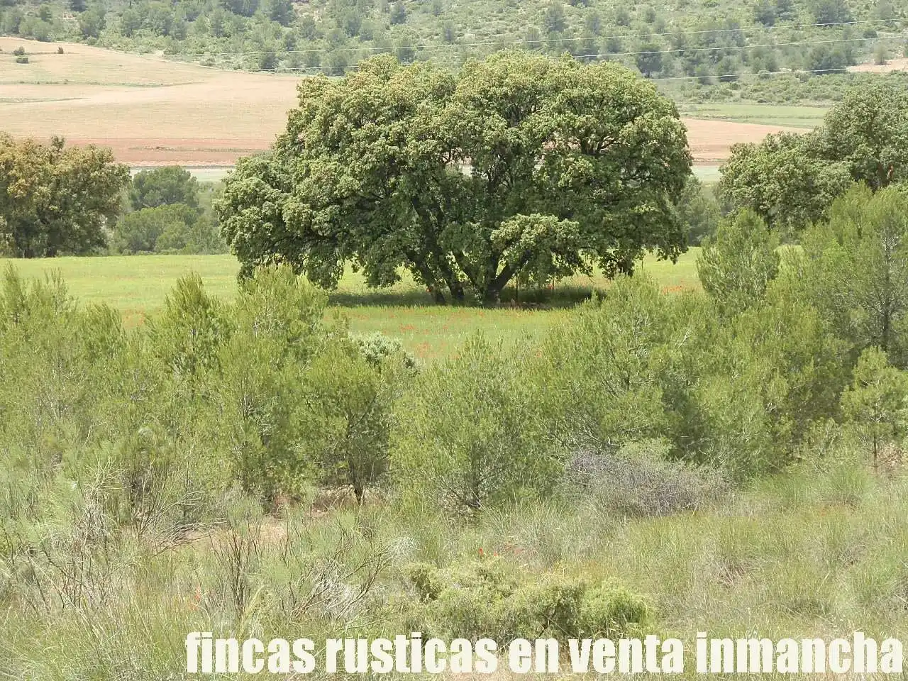 Terreni e lotti in vendita a Elche de la Sierra, imagen 28