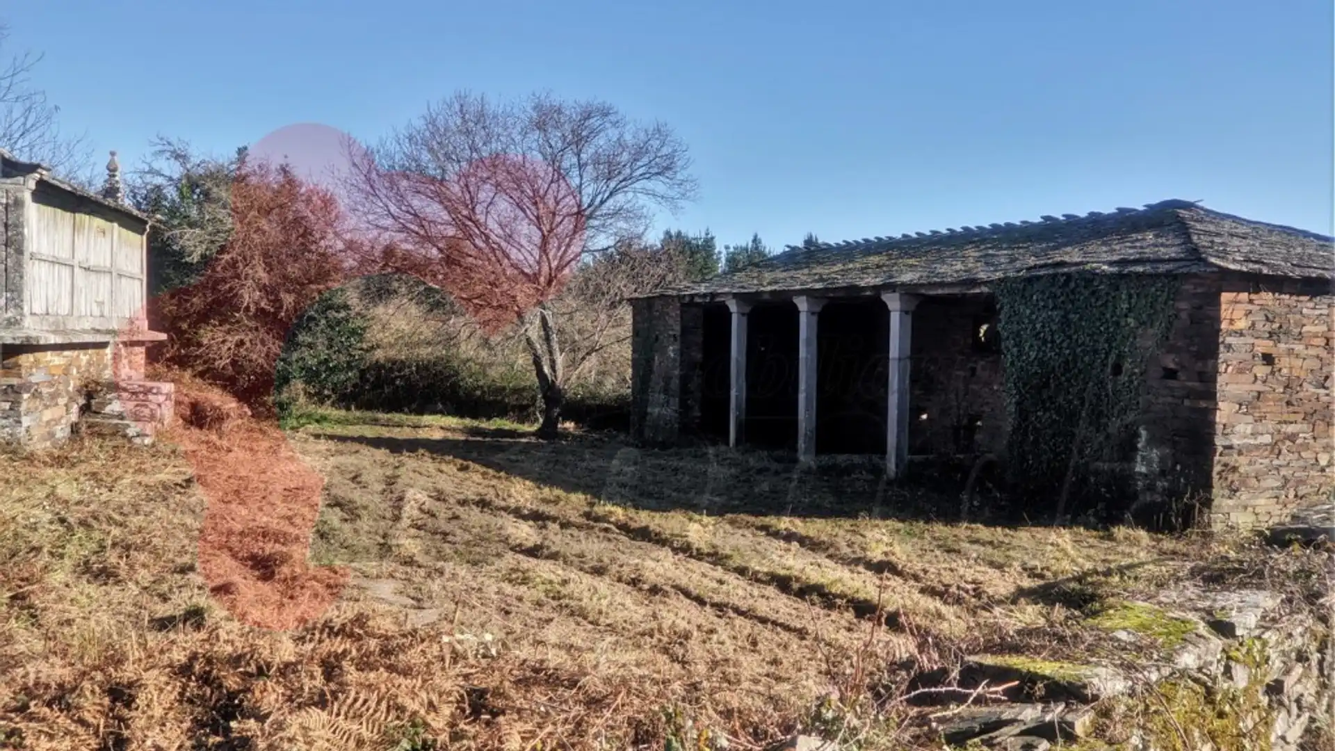 Vista exterior de Casa o chalet en venta en Guntín