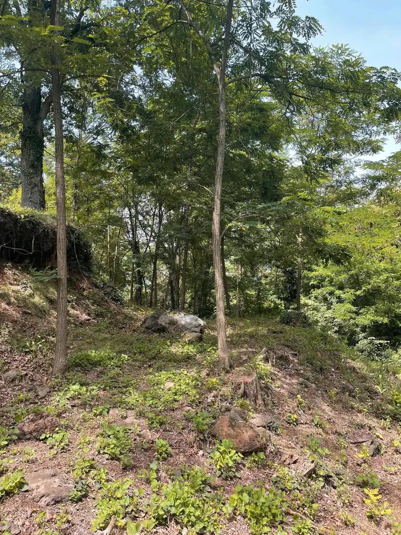 Residential land for sale in Olot, imagen 6