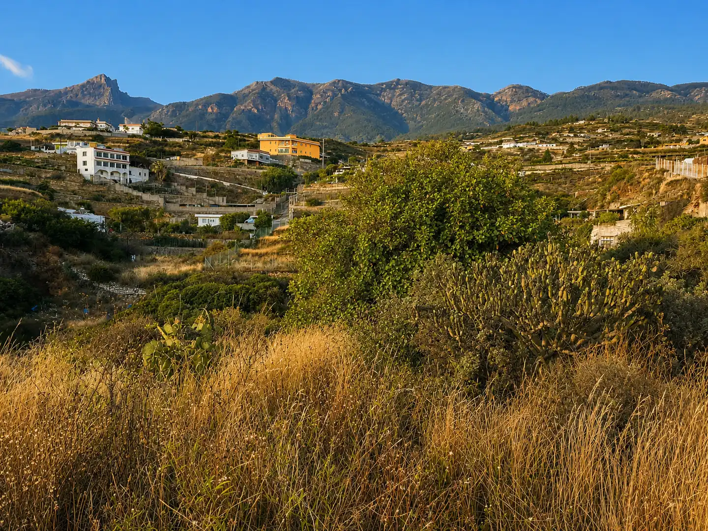 Rural land for sale in Arafo, imagen 3