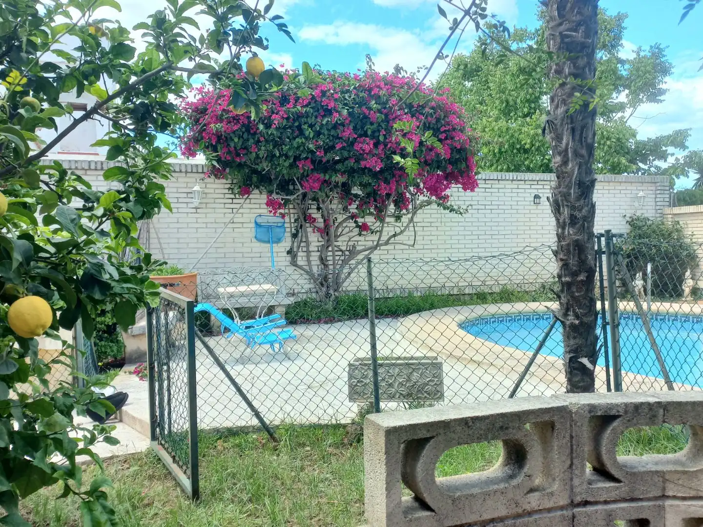 Villa con piscina in vendita a Avinguda del Grau 100, imagen 6
