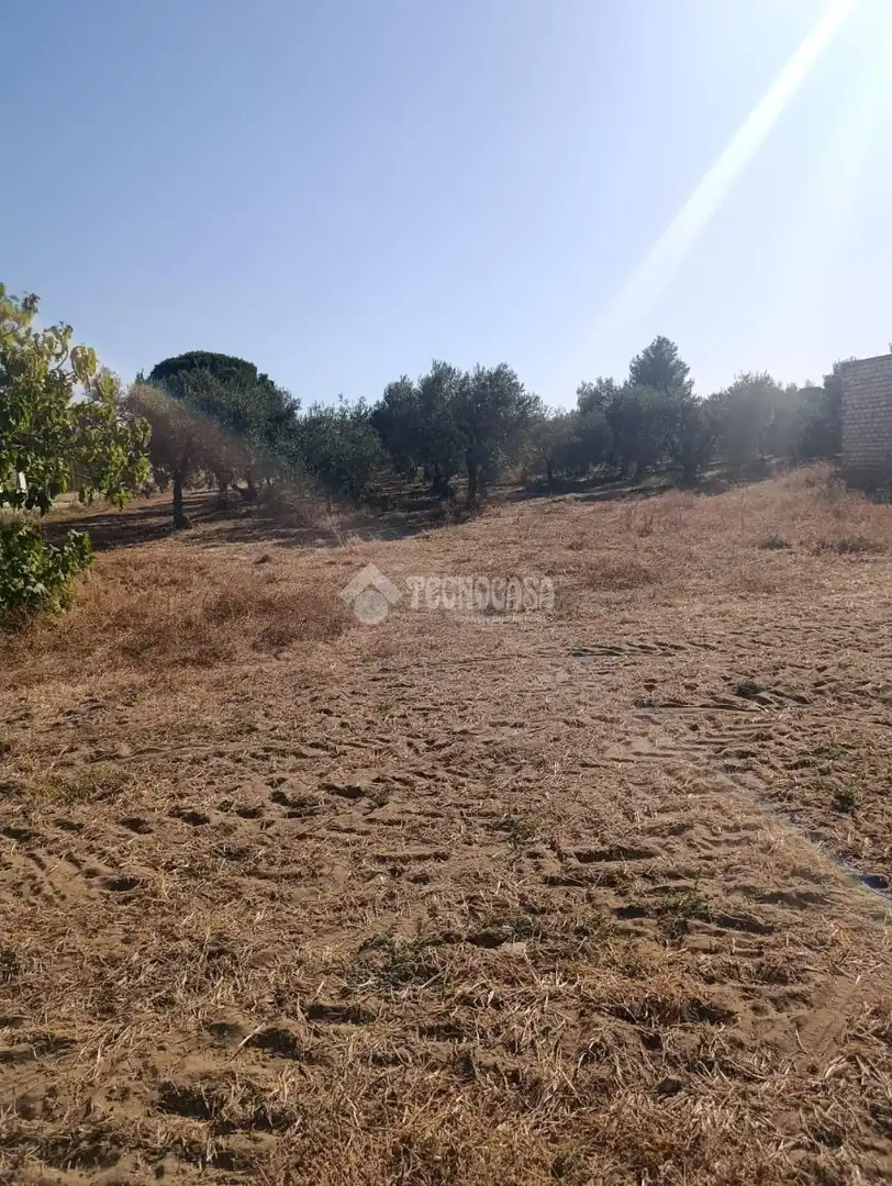 Terreni e lotti in vendita a Pedanías Norte, imagen 10