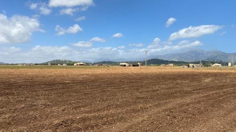 Foto 2 de Residencial en venta en Camí Gran de Son Amer, 15, Sa Pobla, Illes Balears