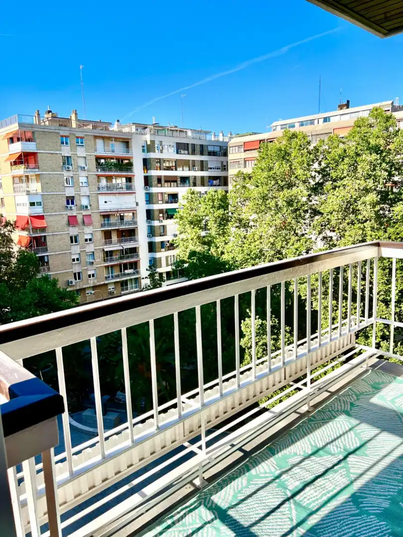 Study for rent in Nueva España