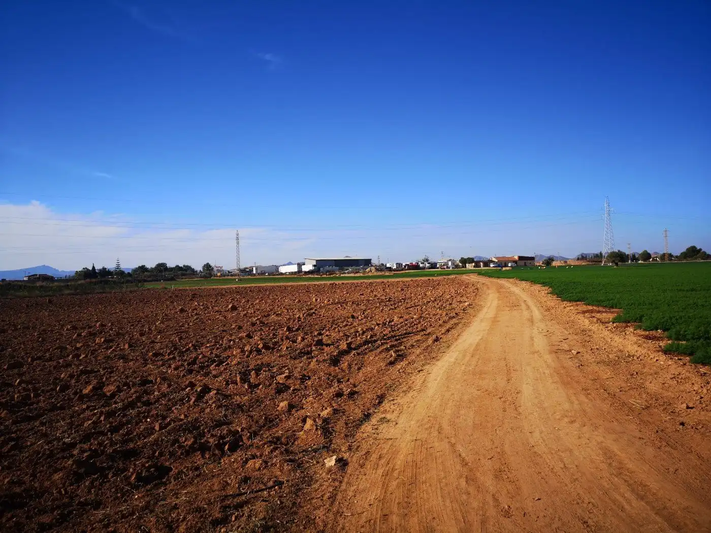 Finca rústica en venta en Cartagena