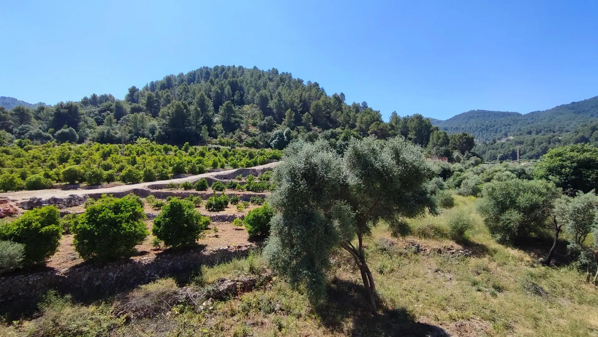 Piso en venta en Vilallonga / Villalonga con Alarma