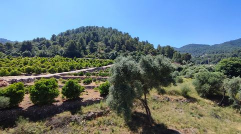 Foto 5 de Piso en venta en Cami de Forna, Vilallonga / Villalonga, Valencia