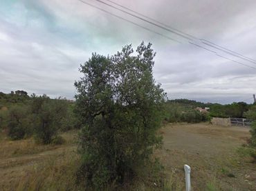 Terrenys i solars en venda a PD ROUREDES ELS (D)
 CASTELLVELL DEL CAMP (TARRAGONA)