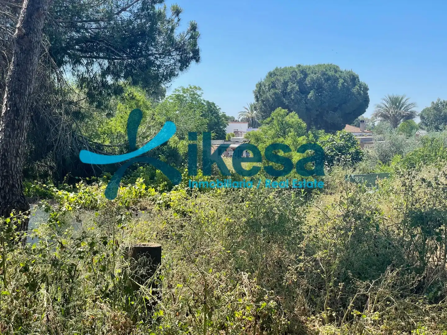 Finca rústica en venta en La Puebla del Río con Jardín privado y Piscina