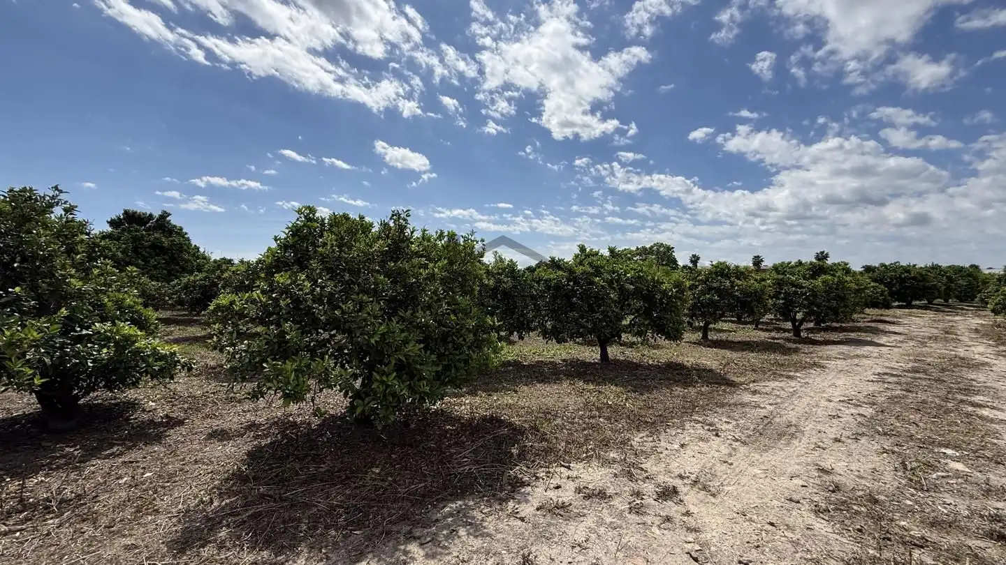 Terrain rustique à vendre à La Pobla Llarga, imagen 2