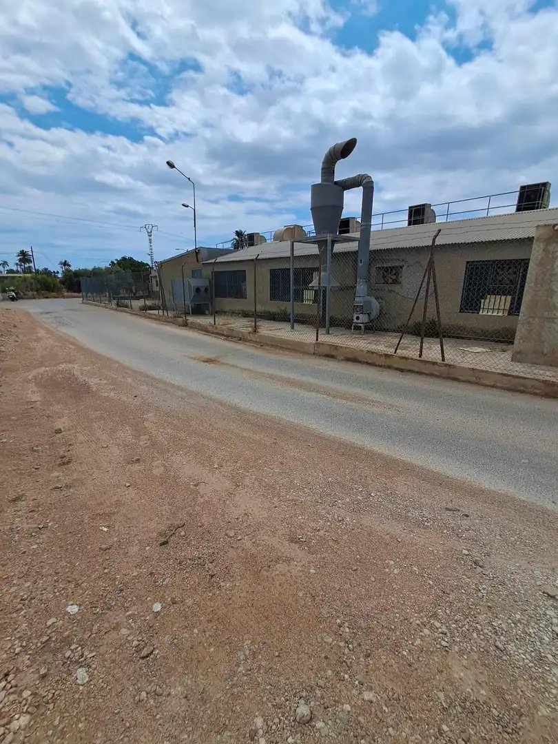 Exterior view of Industrial buildings for sale in Elche / Elx