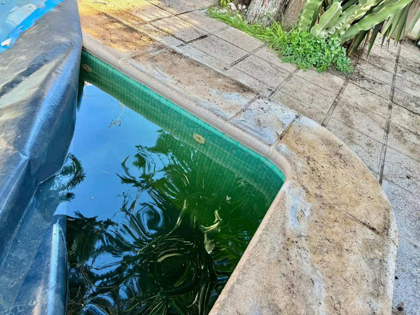 Piscina de Casa adosada en venta en Pilar de la Horadada con Calefacción, Jardín privado y Trastero
