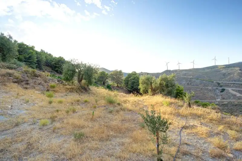 Terreny rústic en venda a El Pinar, imagen 17