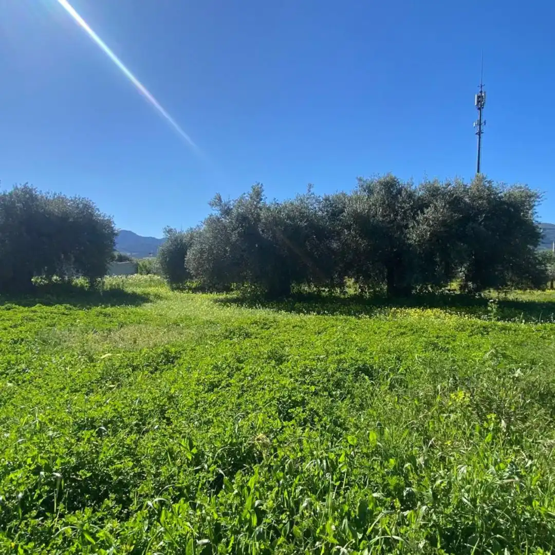 Terreno rustico in vendita a Alquería - Torrealquería, imagen 7