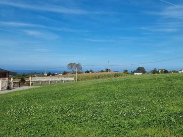 Terreni e lotti in vendita a Coaña