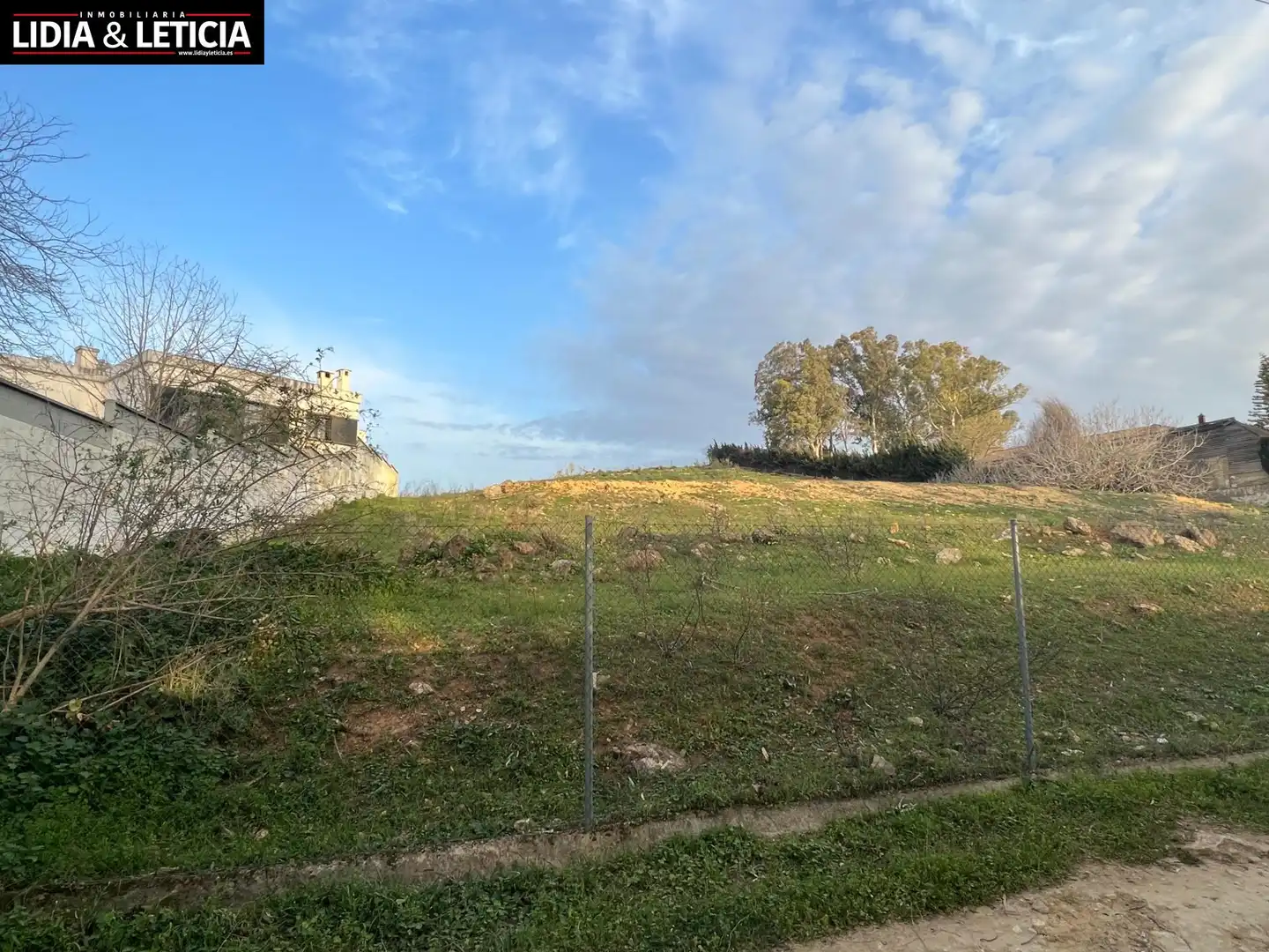 Rural land for sale in Nueva Alcalá, imagen 6