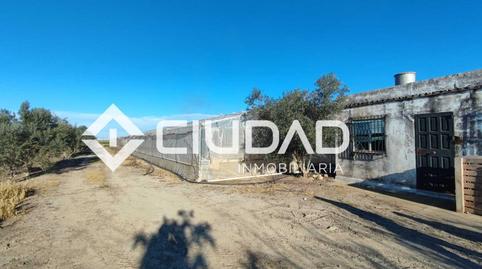 Photo 2 of Land for sale in Lebrija, Sevilla