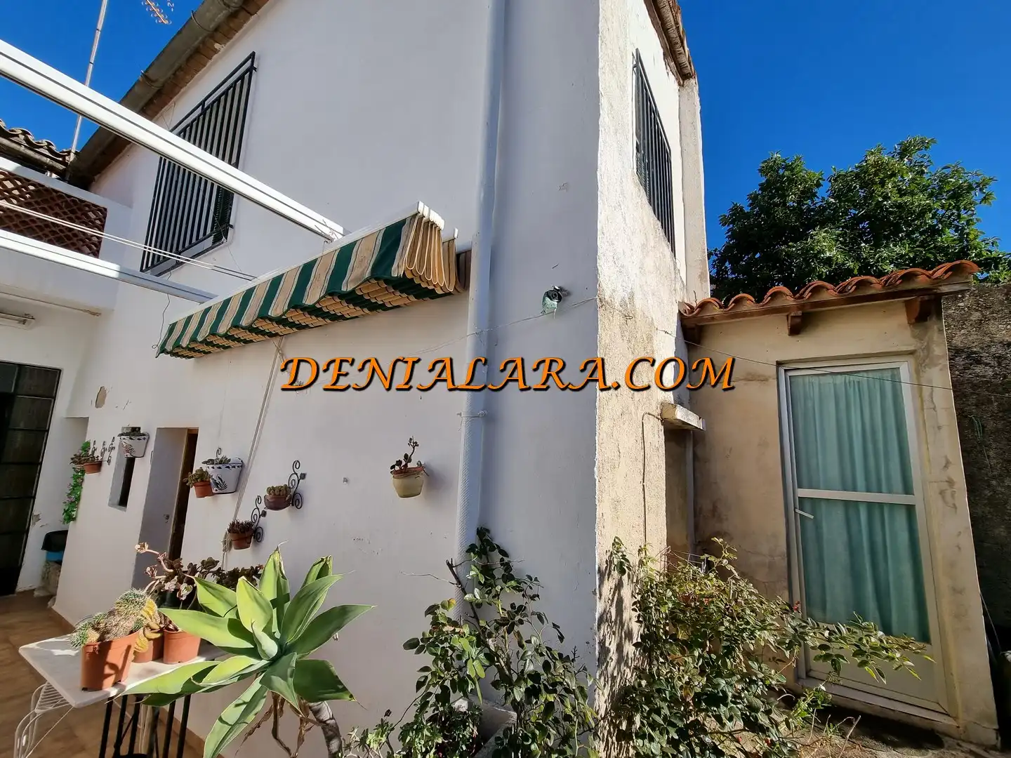 Vista exterior de Casa o chalet en venta en Sagra con Jardín privado, Terraza y Trastero