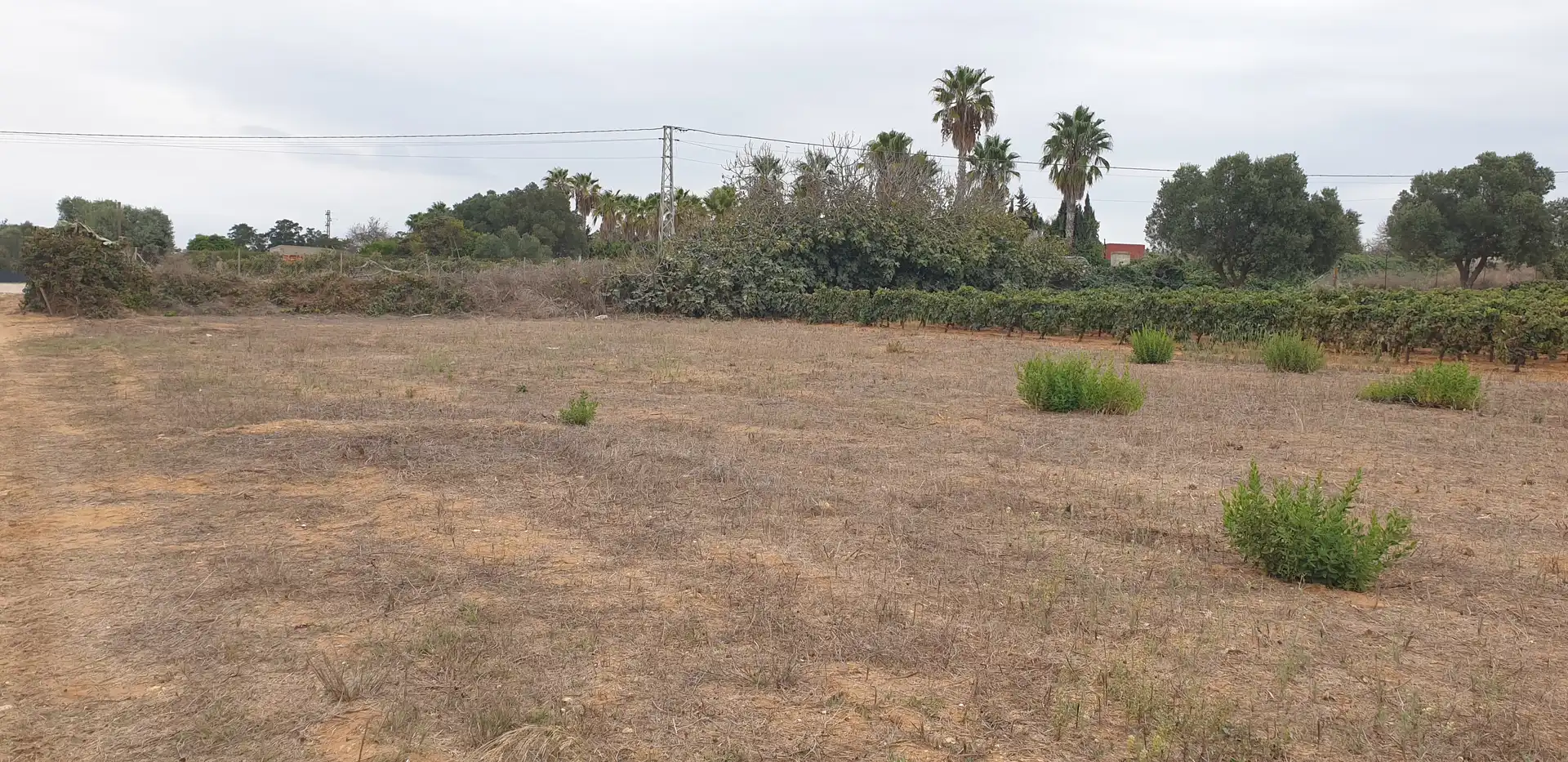 Terrenys i solars en venda a Las Lagunas - Campano, imagen 2