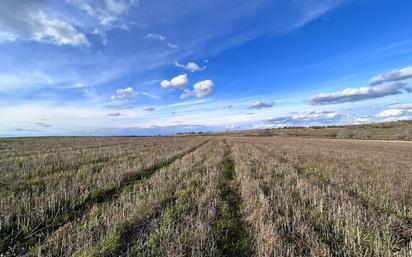 Land for sale in Casarrubios del Monte