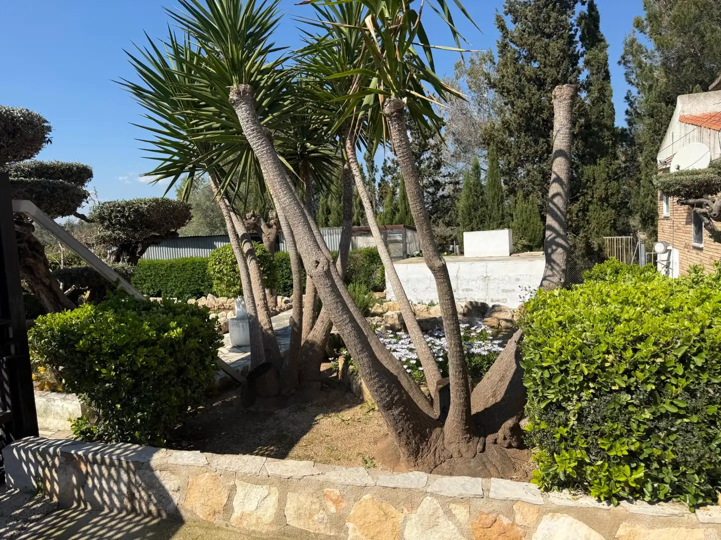 Jardín de Finca rústica en venta en Santa Bàrbara
