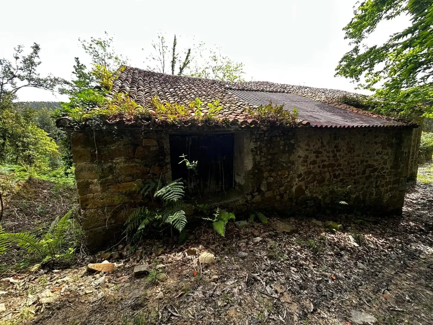 Exterior view of Country homes for sale in Bermeo