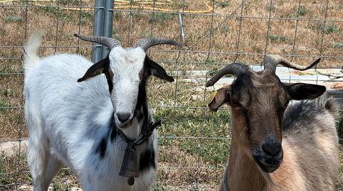 Photo 3 of Land for sale in Camino de Monzalbarba, 9193, Monzalbarba, Zaragoza